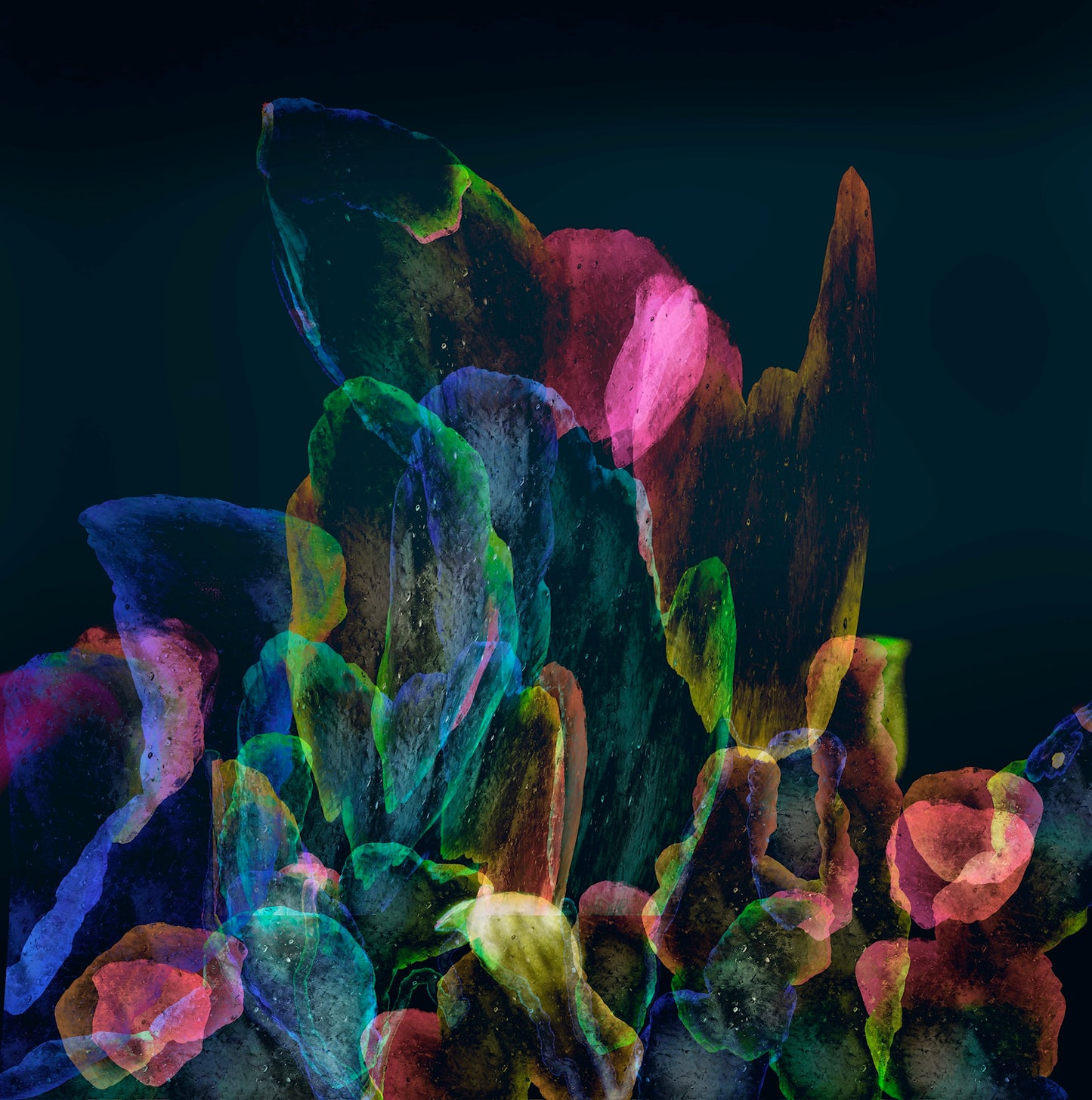 Garden of Angels